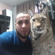  ,   , 47 ,     , c , 