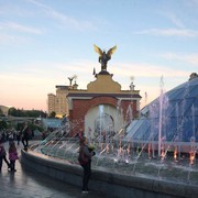 ���������� ����, ���� ������� �������, 49 ���, ������������ ��� ������, ����� � ���������, c�������� ���������