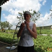 ���������� �������, ���� ������� ���, 38 ���, ������������ ��� ������