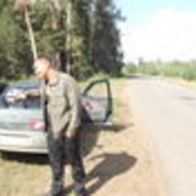 ,   , 43 ,   