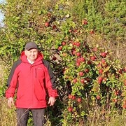 ���������� �����, ���� ������� ��������, 60 ���, ������������ ��� ������, ����� � ���������, c�������� ���������