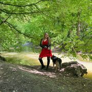 ���������� ������, ���� ������� ����, 44 ����, ������������ ��� ����� � ���������, c�������� ���������