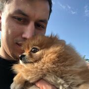 ���������� ������������, ���� ������� Albert, 30 ���, ������������ 