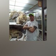 -,   , 53 ,   c 