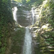 ���������� ������ �����, ���� ������� �������, 50 ���, ������������ ��� ������, ����� � ���������, c�������� ���������