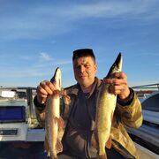 ���������� ���������, ���� ������� ������, 45 ���, ������������ ��� ������