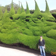  ,   Potato, 46 ,   ,   , c 