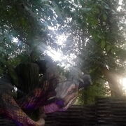 ���������� ��������������, ���� ������� �������, 39 ���, ������������ ��� ������, ����� � ���������