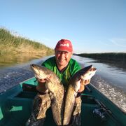 ���������� ������, ���� ������� ������, 51 ���, ������������ ��� ����� � ���������, c�������� ���������