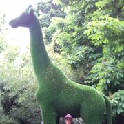 ���������� ���������, ���� ������� ������, 35 ���, ������������ ��� ������, ����� � ���������