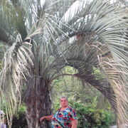 ���������� ������, ���� ������� �������, 67 ���, ������������ ��� ������, ����� � ���������, c�������� ���������, ���������