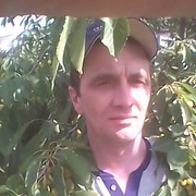  ,   , 44 ,   