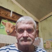  ,   , 68 ,     , 