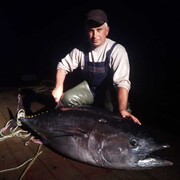 ���������� �������, ���� ������� �����, 50 ���, ������������ ��� ����� � ���������, c�������� ���������