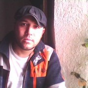 ,     , 41 ,   