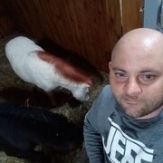 ���������� ��������������, ���� ������� ���������, 32 ����, ������������ ��� ������, ����� � ���������