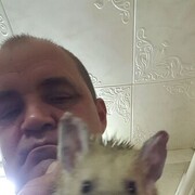  ,   , 49 ,   ,   
