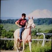 ���������� ���������, ������� ���, 37