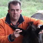 ���������� �����, ���� ������� ������, 58 ���, ������������ ��� ������