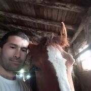 ���������� ������, ���� ������� ������, 40 ���, ������������ ��� ������, ����� � ���������