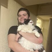 ���������� �����-���������, ���� ������� ��������, 28 ���, ������������ ��� ������, ����� � ���������, c�������� ���������