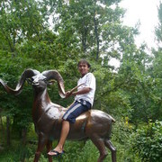 ���������� ������, ���� ������� �����, 39 ���, ������������ ��� ������