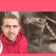  ,   , 33 ,   ,   