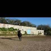 ���������� ������ ���, ���� ������� ���������, 49 ���, ������������ ��� ����� � ���������, c�������� ���������