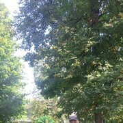  ,   , 56 ,   c 