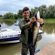 ���������� ������, ���� ������� ������, 39 ���, ������������ ��� ������, ����� � ���������