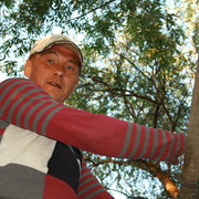  ,   , 55 ,  