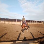 ���������� ������, ���� ������� �����, 31 ���, ������������ ��� ������, ����� � ���������