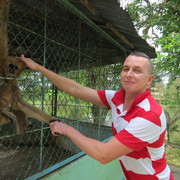 ���������� ������, ���� ������� ������, 38 ���, ������������ ��� ������, ����� � ���������, c�������� ���������