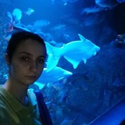 ,   , 24 ,     , 