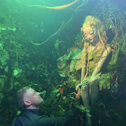 ���������� ����������, ���� ������� ������, 39 ���, ������������ ��� ������, ����� � ���������