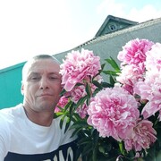  ,  , 46