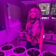 ���������� ������, ���� ������� ������, 24 ����, ������������ ��� ������, ����� � ���������, c�������� ���������