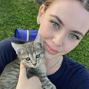 ���������� ���������, ������� ������, 28