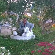  ,   , 50 ,   ,   , c 