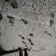 ���������� �����, ���� ������� ��������, 42 ����, ������������ ��� ������, ����� � ���������, c�������� ���������, ���������