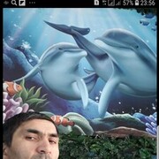  ,   , 41 ,     , c , 
