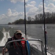 ���������� ������, ���� ������� ����, 54 ����, ������������ ��� ������, ����� � ���������, c�������� ���������