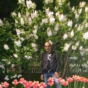 ���������� ������, ���� ������� Pargev, 59 ���, ������������ ��� ������, ����� � ���������, c�������� ���������