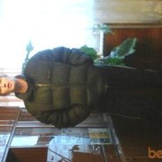  -,   Vlad, 53 ,   , 