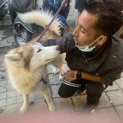 ���������� ������, ���� ������� Rohan, 31 ���, ������������ ��� ������, ����� � ���������