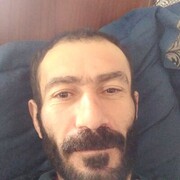  ,  Zopo, 43