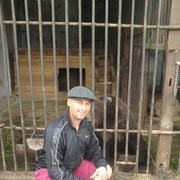  ,   , 46 ,   