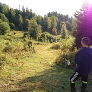 ���������� ���������, ���� ������� �����������, 43 ����, ������������ ��� ������, ����� � ���������, c�������� ���������