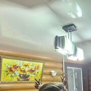 ���������� ���������, ���� ������� �������, 38 ���, ������������ ��� ����� � ���������, c�������� ���������