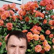 ���������� ��������, ���� ������� ������, 50 ���, ������������ ��� ������, ����� � ���������, c�������� ���������